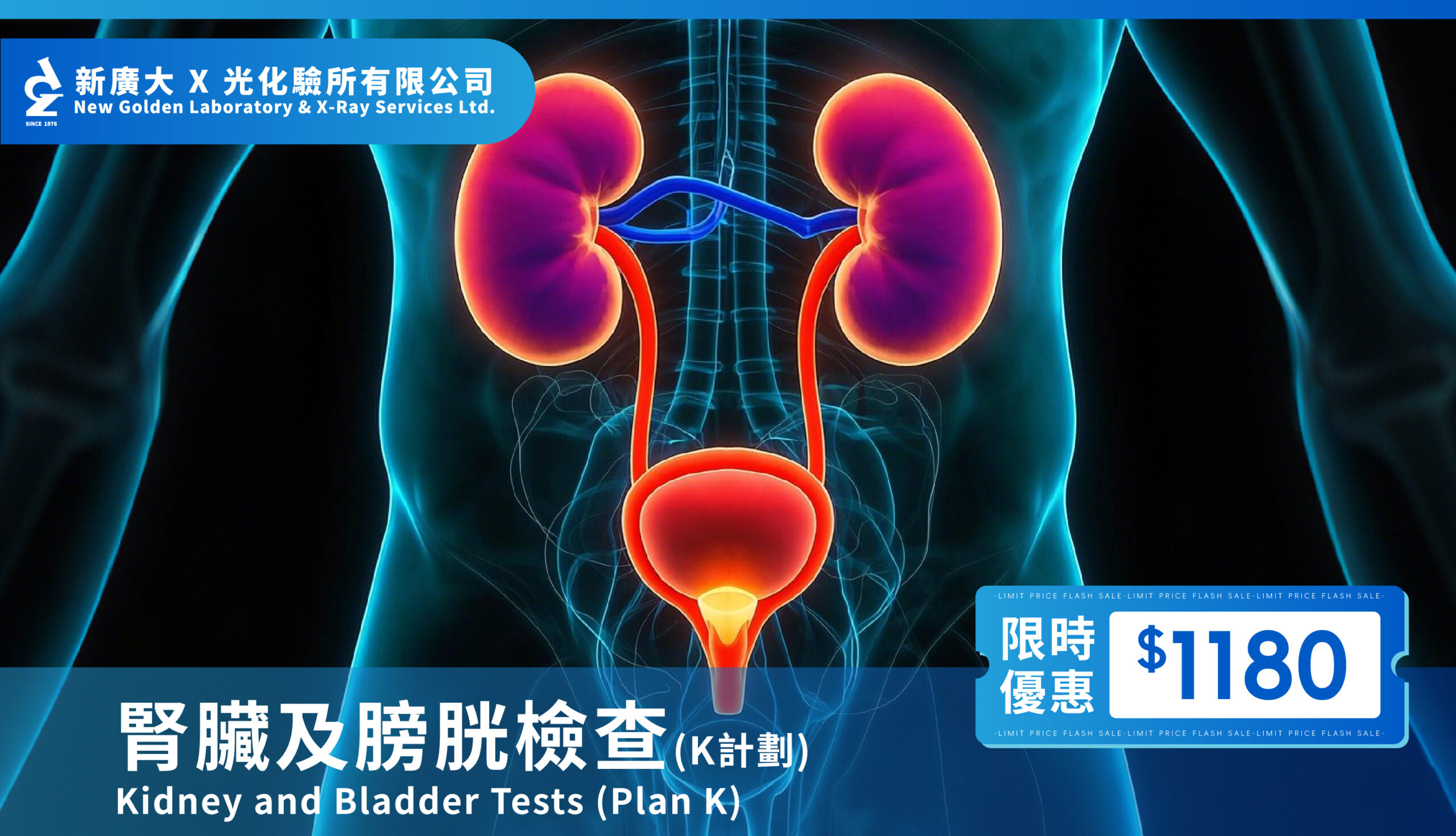【腎臟及膀胱檢查 K計劃】限時優惠 $1180,守護您的健康!